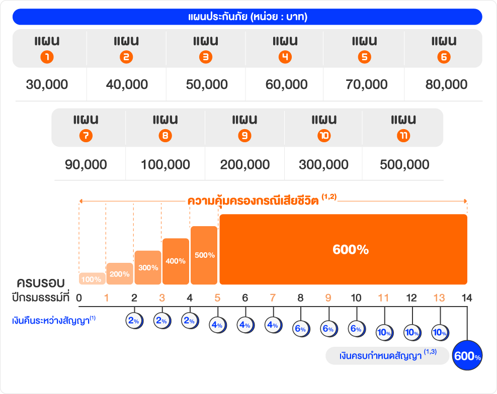 แผนและผลประโยชน์ความคุ้มครอง มันนี่เซฟวิ่ง ไทยประกันชีวิต